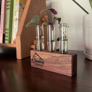 Beautiful handmade hardwood plant propogation station and cloning tray for houseplant clippings grow new houseplants for free! Walnut